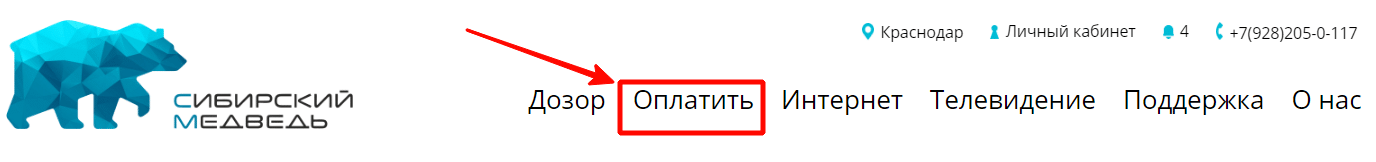 Оплатите лично. Сибирский медведь личный кабинет. Сибирский медведь личный кабинет Краснодар. Номер телефона техподдержки Сибирский медведь интернет. Сибирский медведь как посмотреть ТВ.